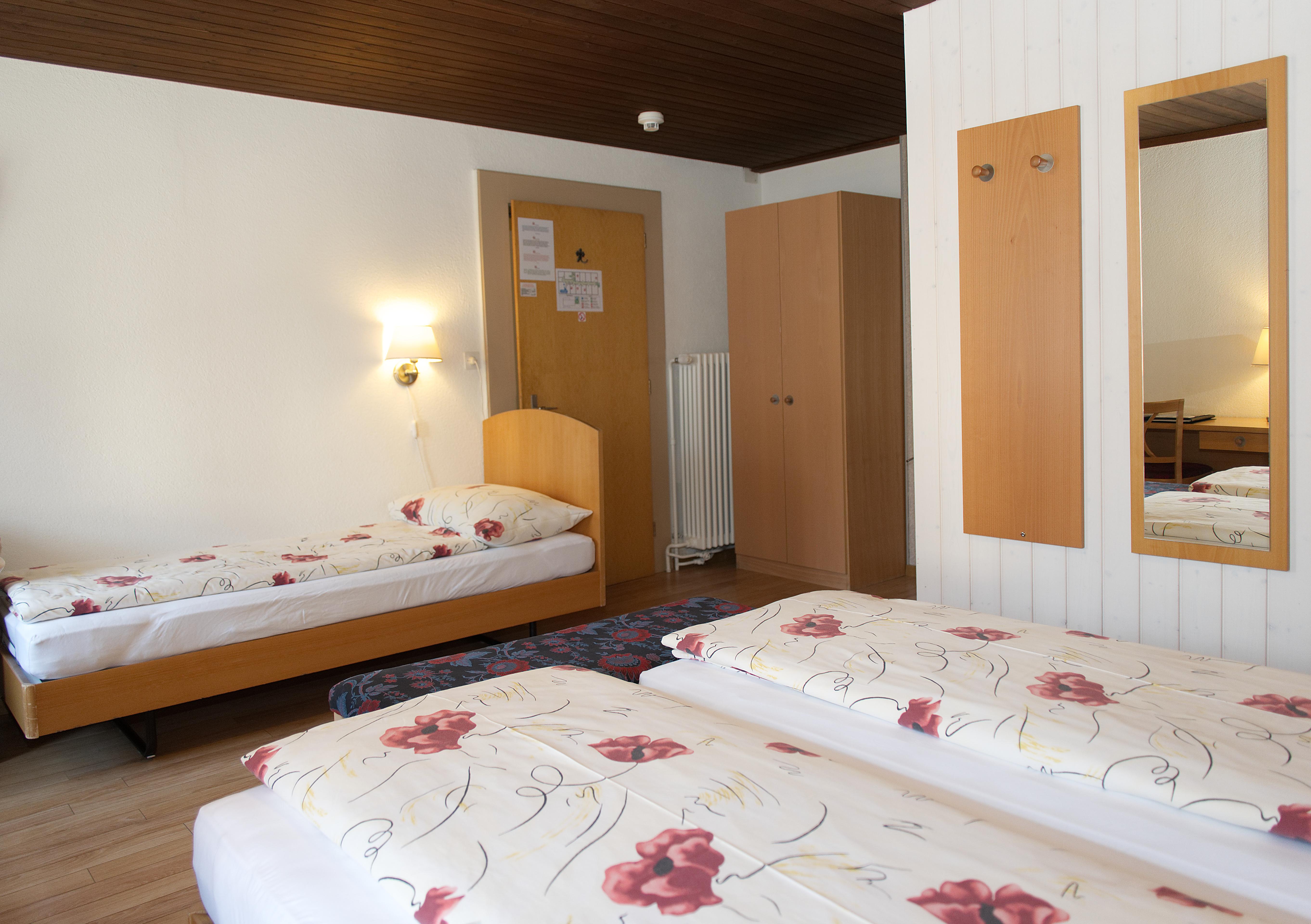 Hotel Roessli 2*